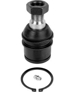 Ball Joint Lower D60