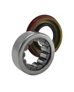 Axle bearing & seal kit for Astro Van rear