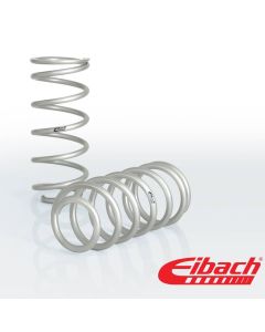 Pro-Lift Performance Rear Coil Spring Set for 1996-2002 4Runner (E30-82-006-05-02)